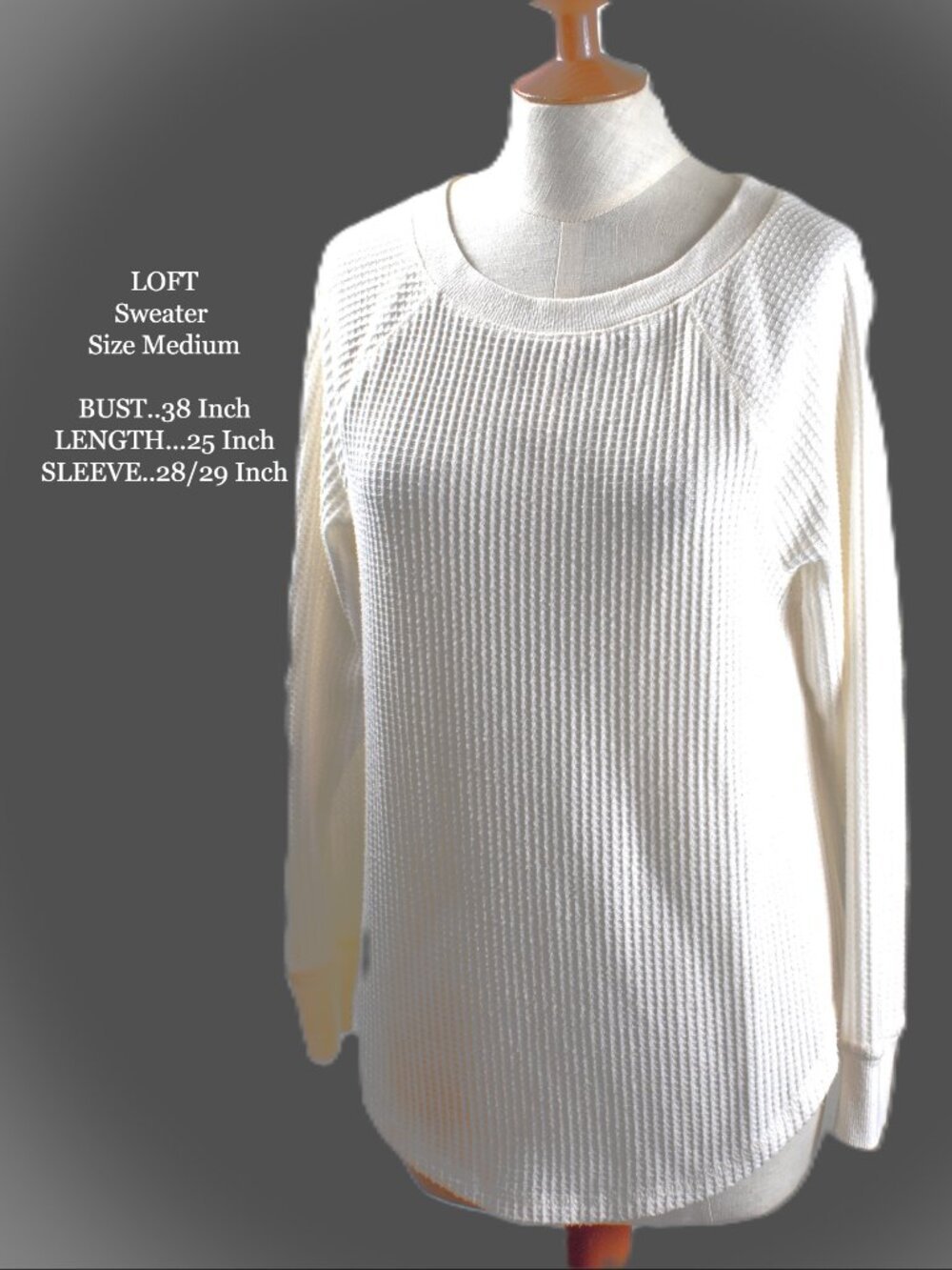 LOFT Sweater M Cream Color Pullover Long Sleeve Round Neck BIN 6